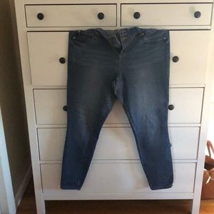 Torrid Skinny Jeans
